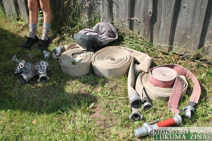 Gallery image 161981