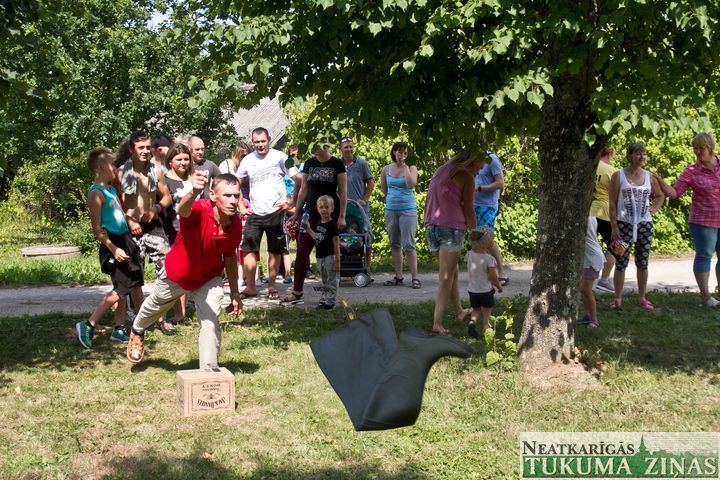 Gallery image 164682