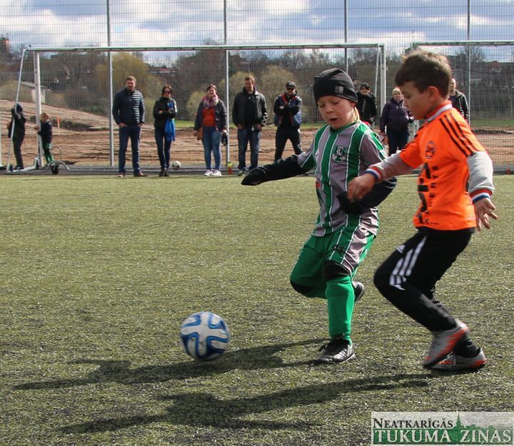 Gallery image 173206