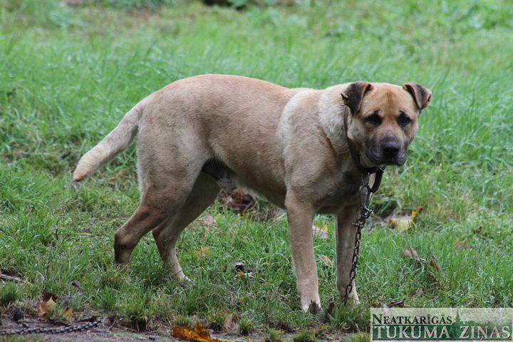 Gallery image 182813