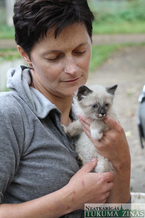 Gallery image 182812