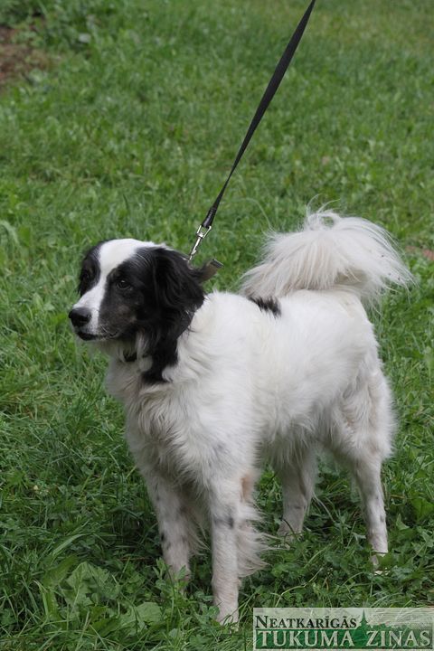 Gallery image 182814