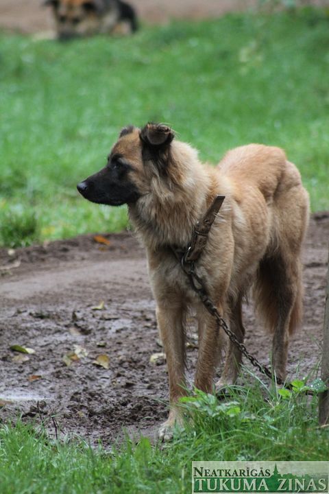 Gallery image 182810