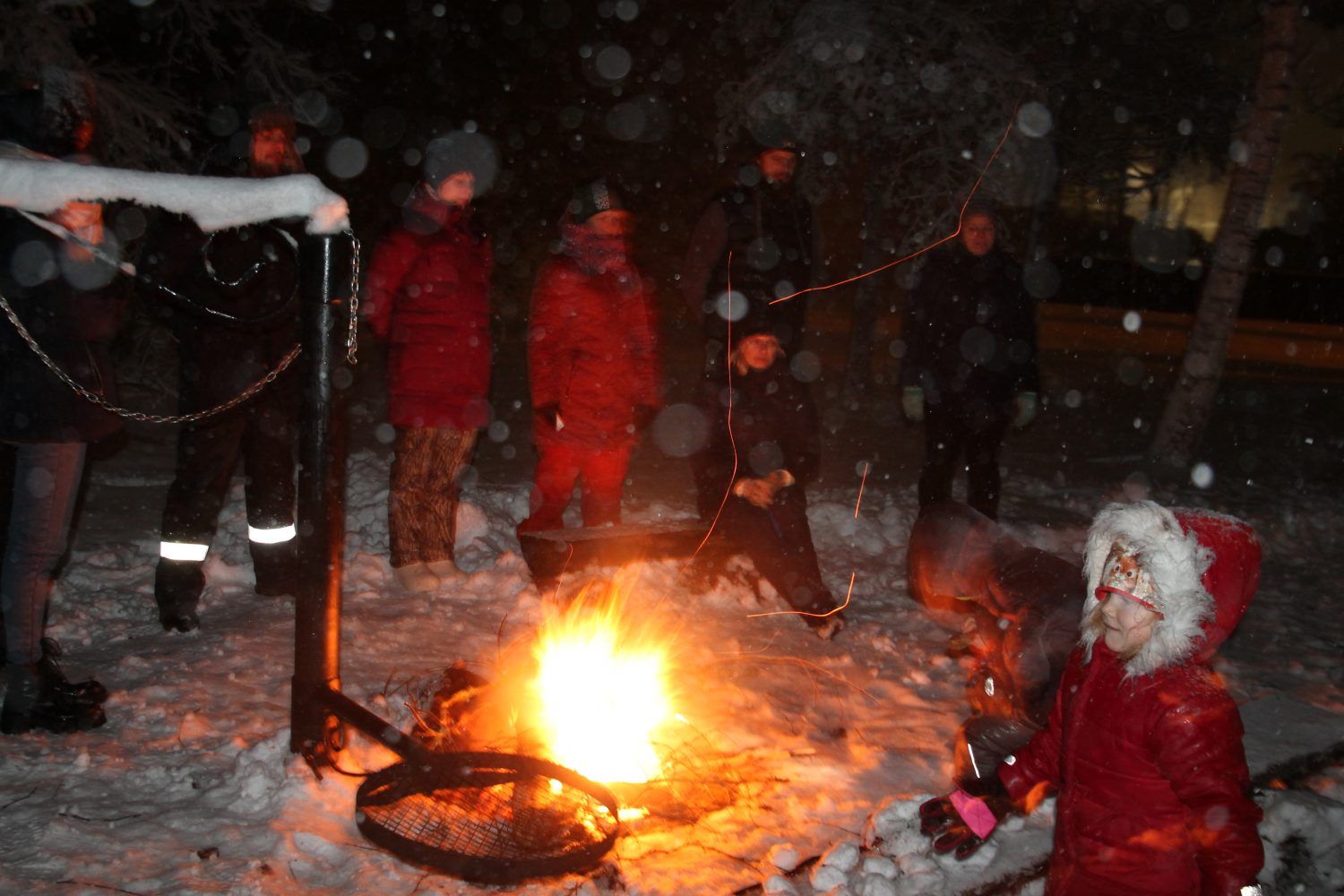 Gallery image 159556