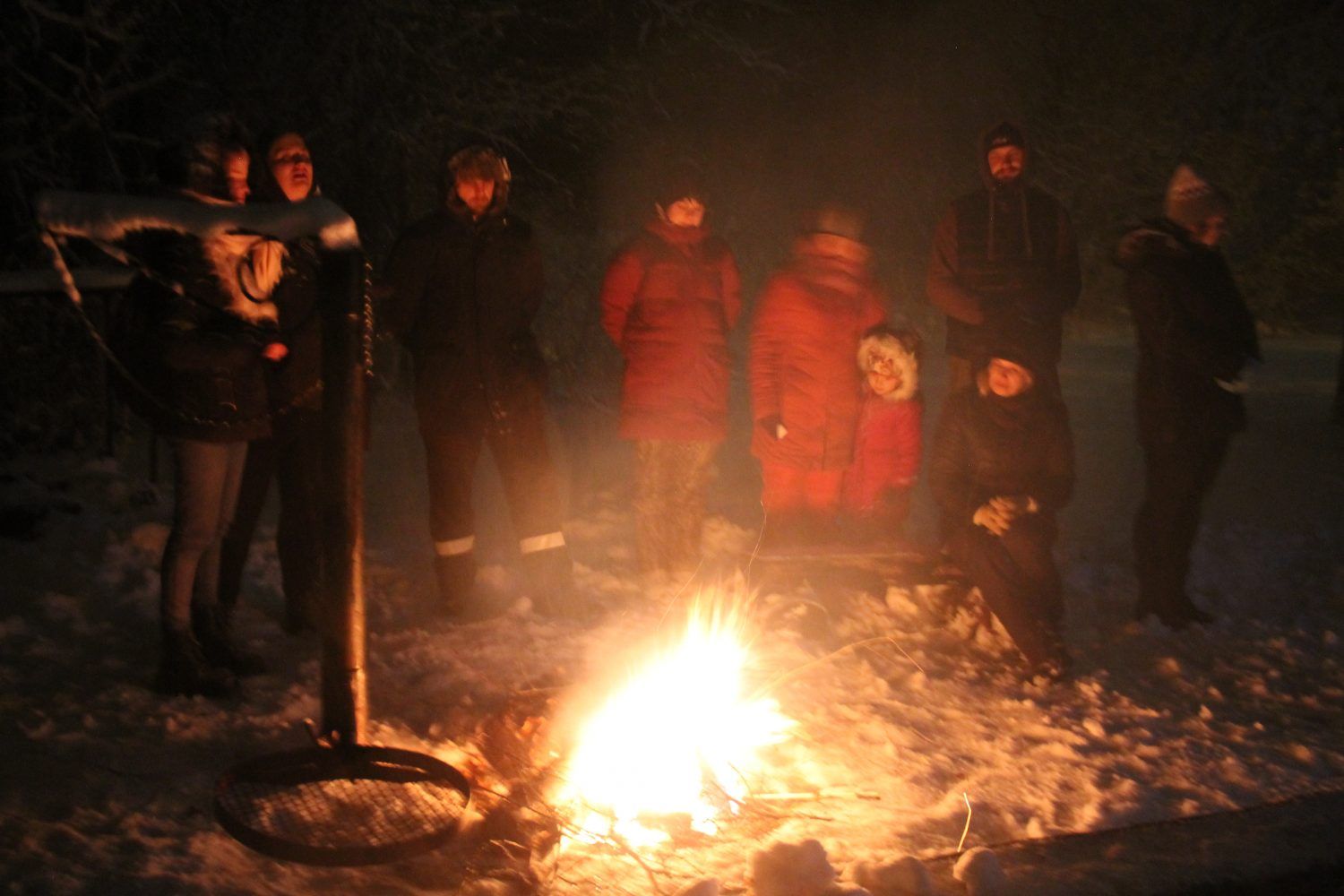 Gallery image 159560