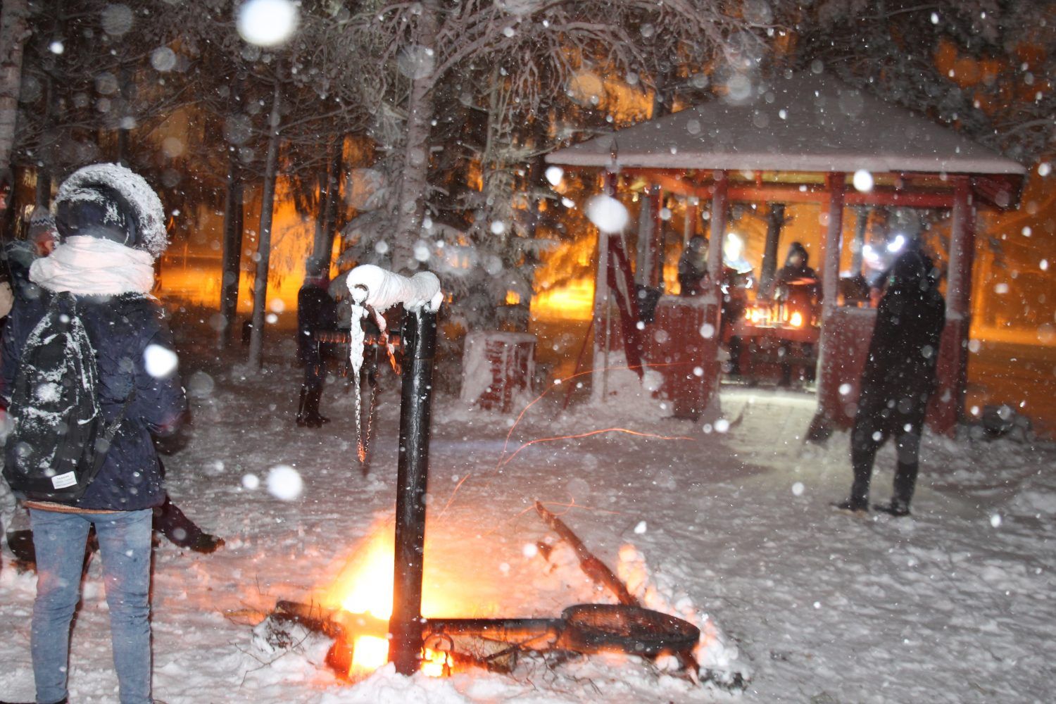 Gallery image 159559