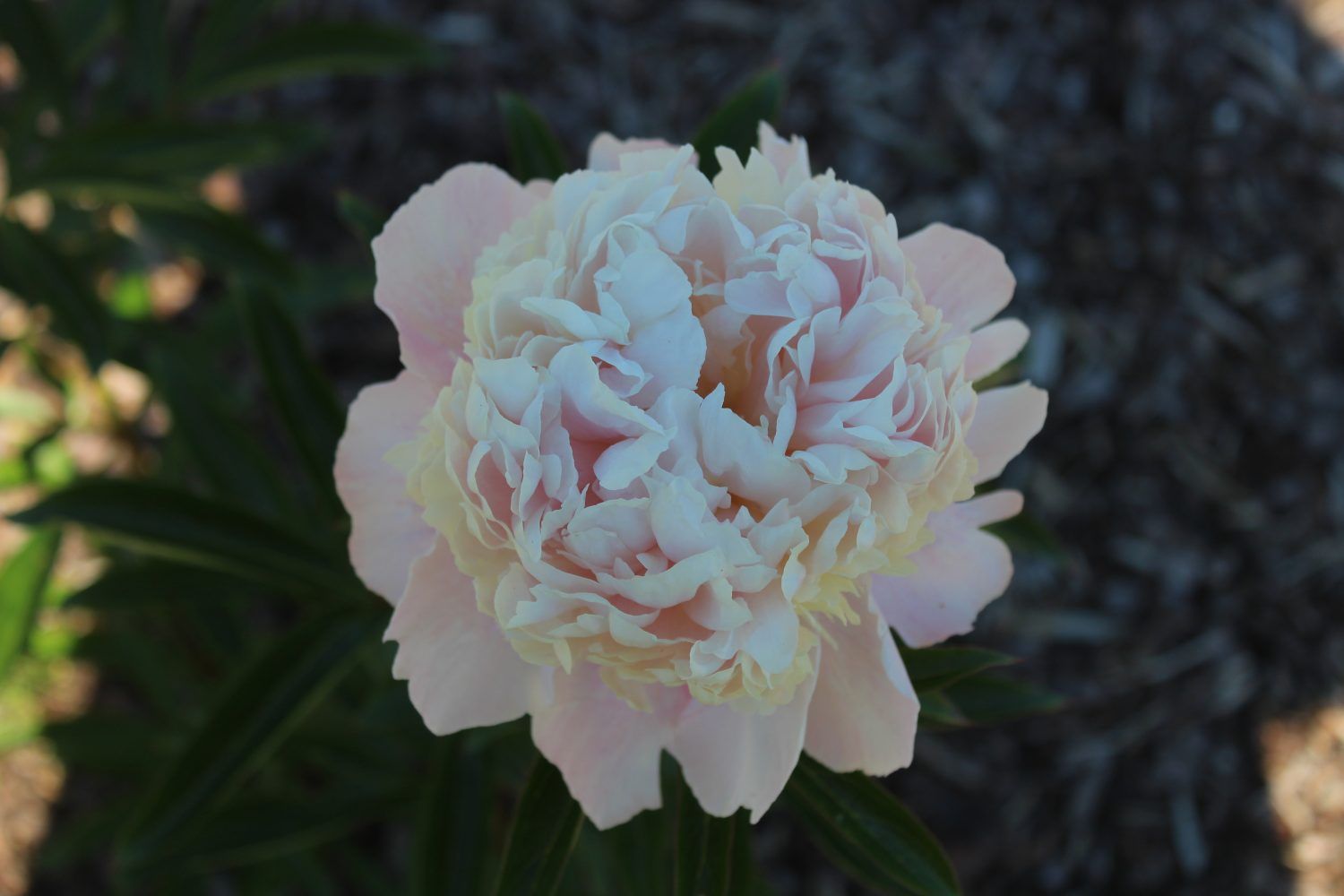 Gallery image 159778