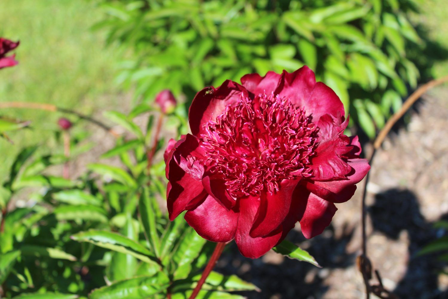 Gallery image 159777