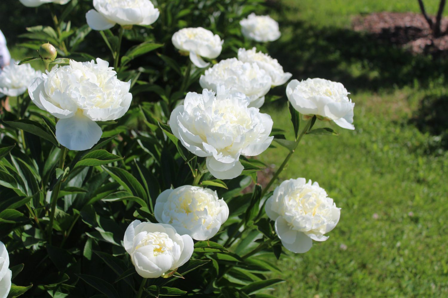 Gallery image 159780