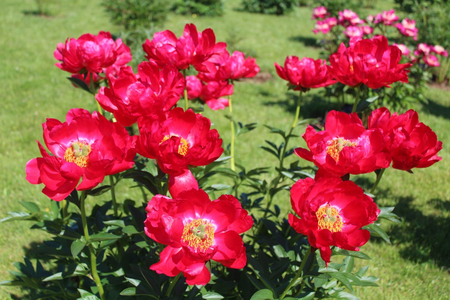 Gallery image 159782