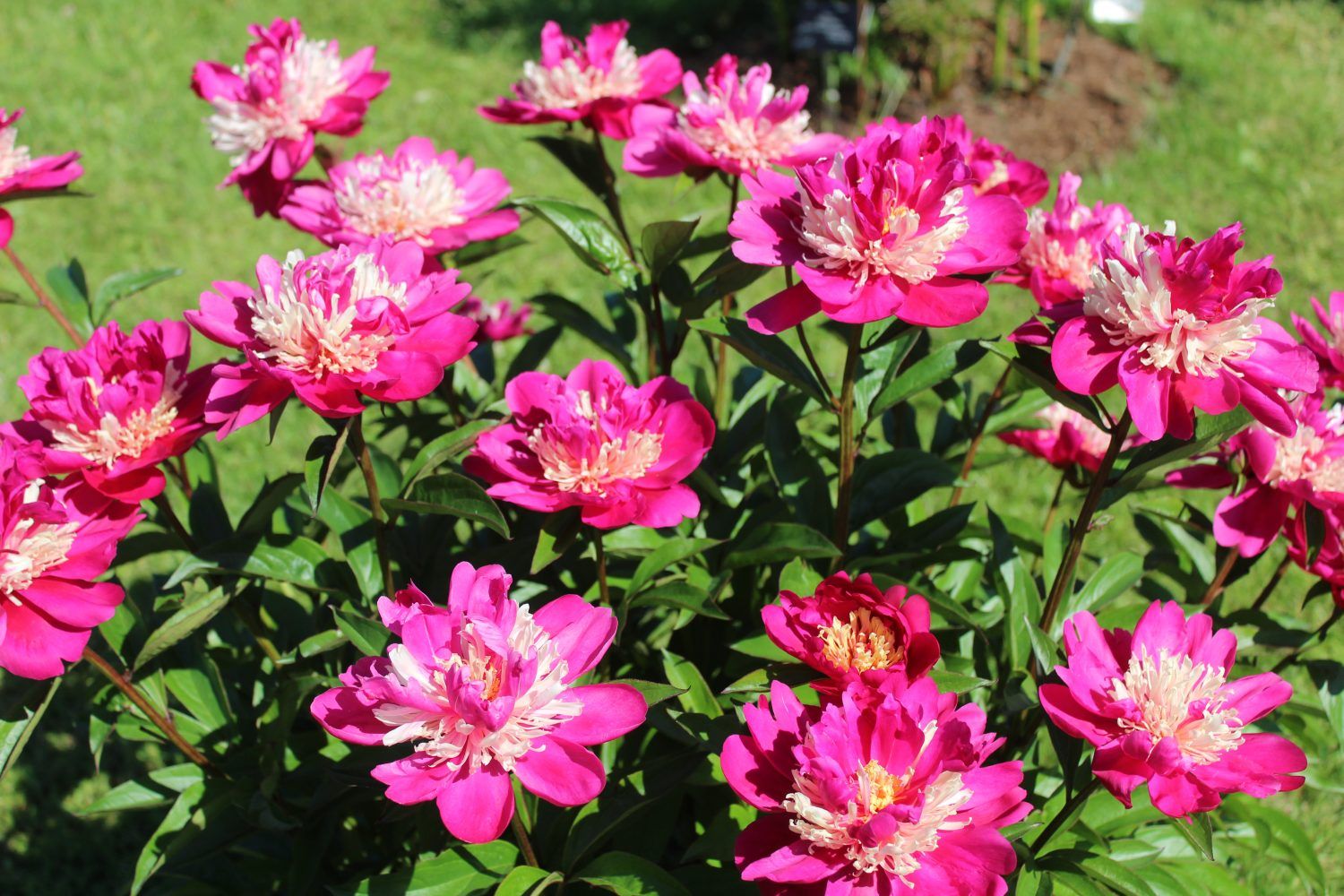 Gallery image 159781