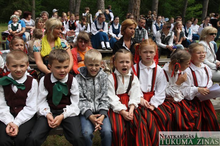 Gallery image 181515