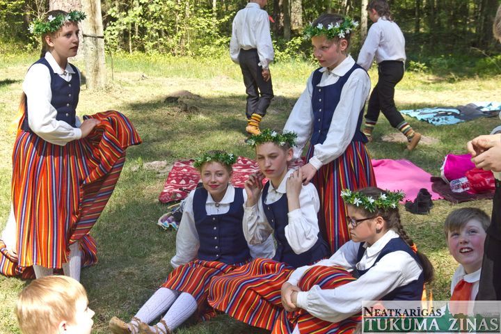 Gallery image 167994