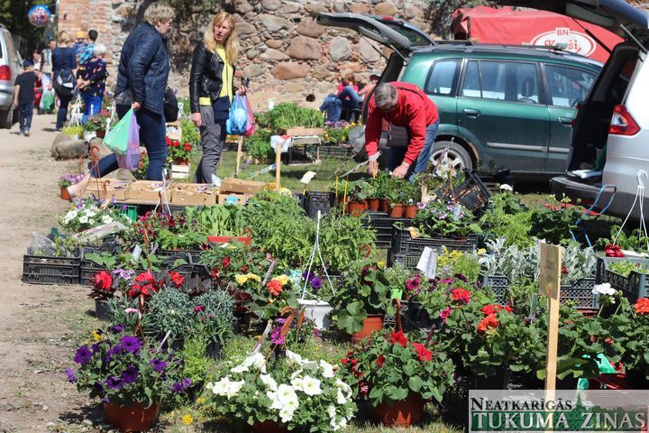 Gallery image 162865