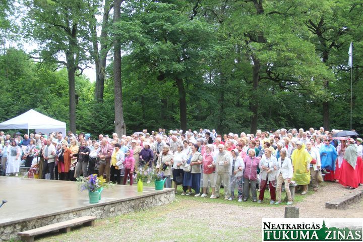 Gallery image 162373