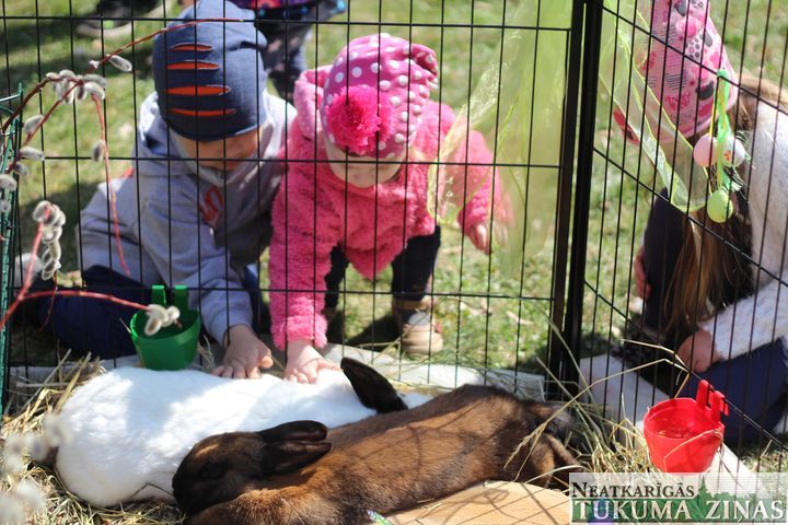 Gallery image 162967