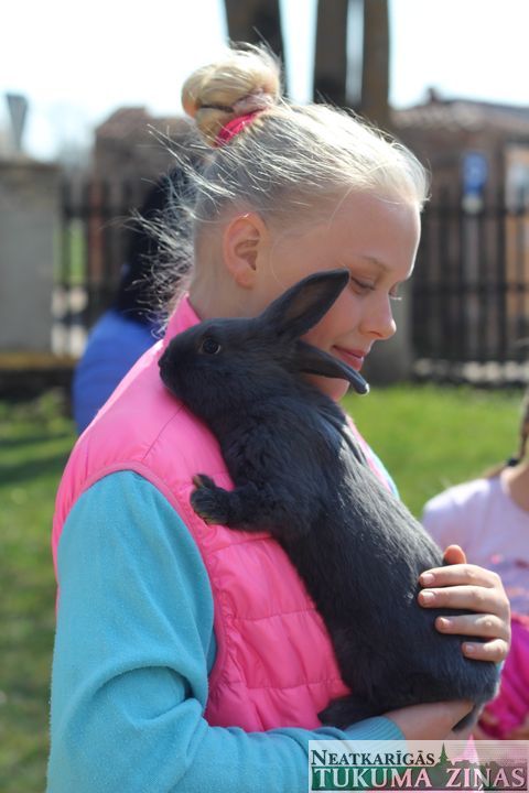 Gallery image 162964