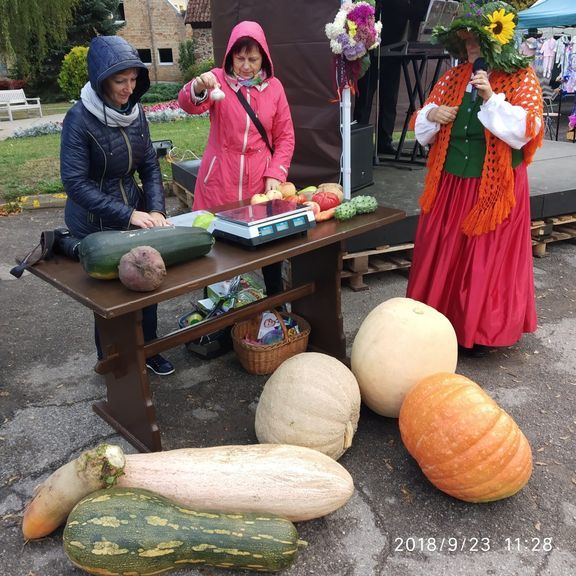 Gallery image 163991