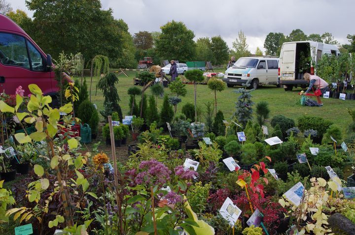 Gallery image 163993