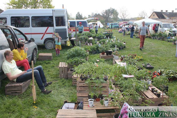 Gallery image 172678