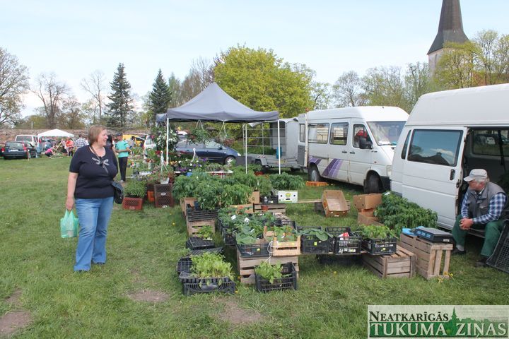 Gallery image 172679