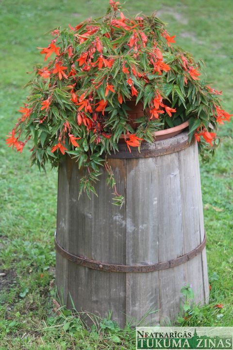 Gallery image 161766