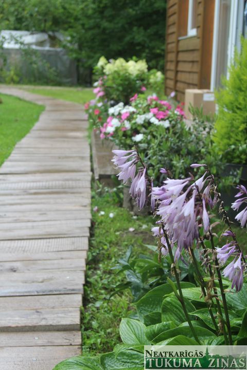 Gallery image 161762