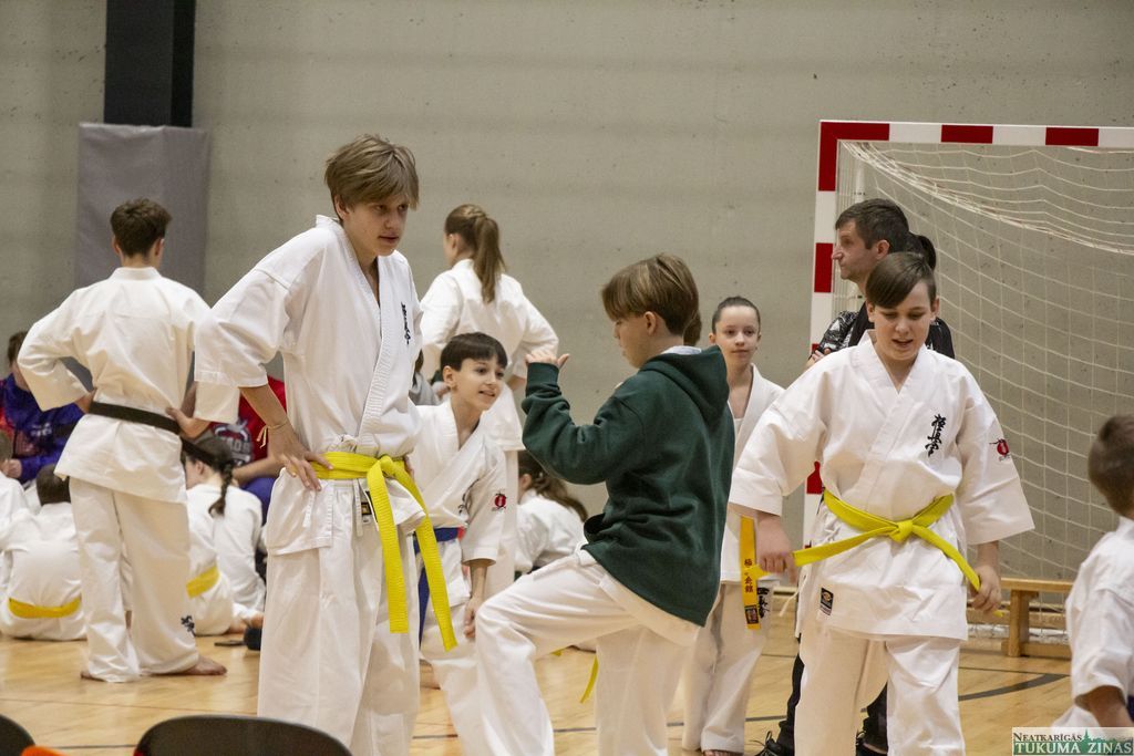 Gallery image 154420