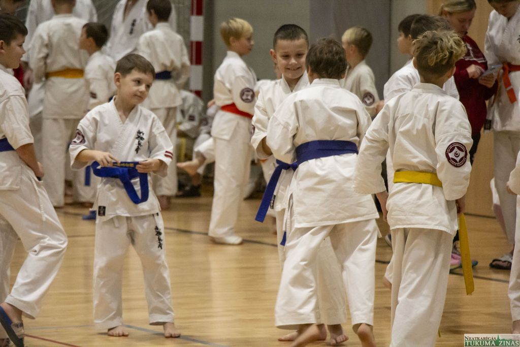 Gallery image 154419