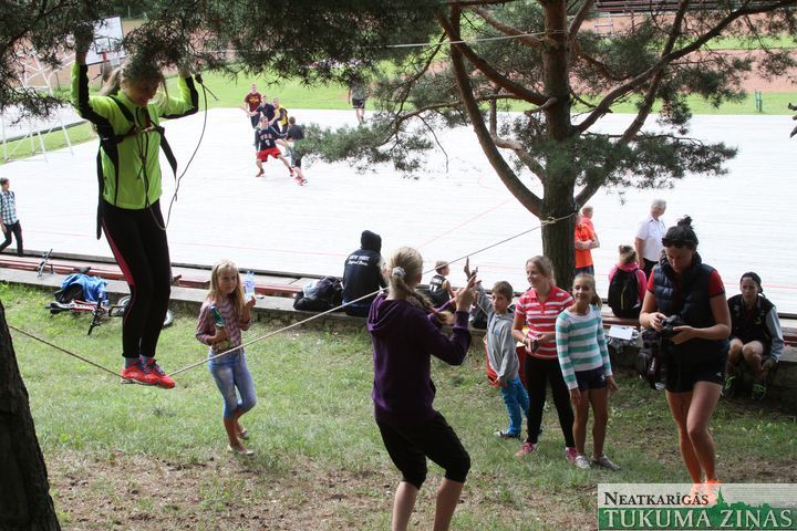 Gallery image 178407