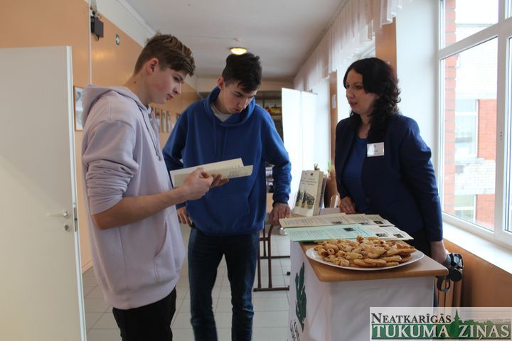 Gallery image 163380