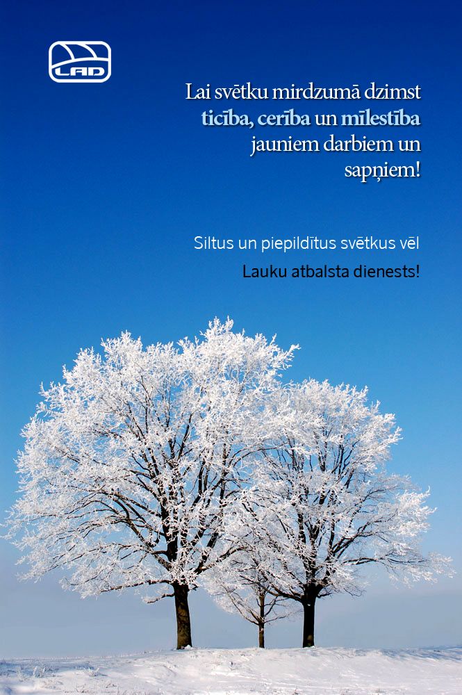 Gallery image 182269