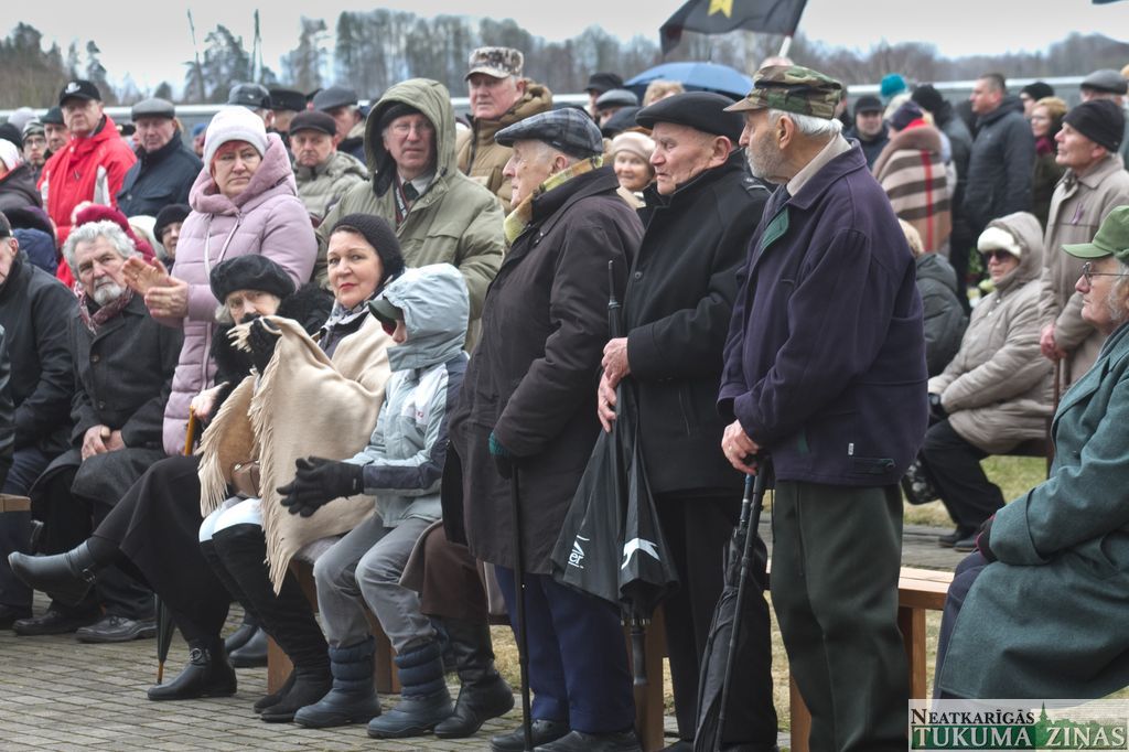 Gallery image 163078