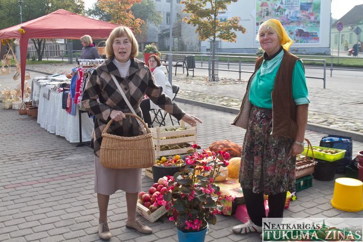 Gallery image 166631