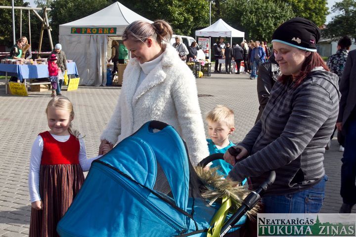 Gallery image 166629