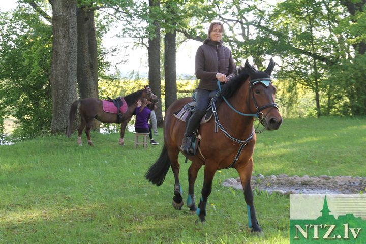 Gallery image 172460