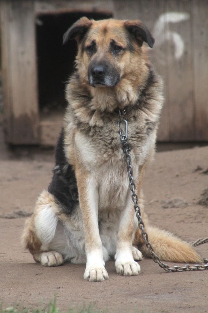 Gallery image 182485