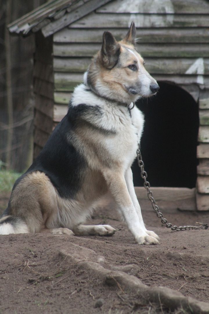 Gallery image 182484