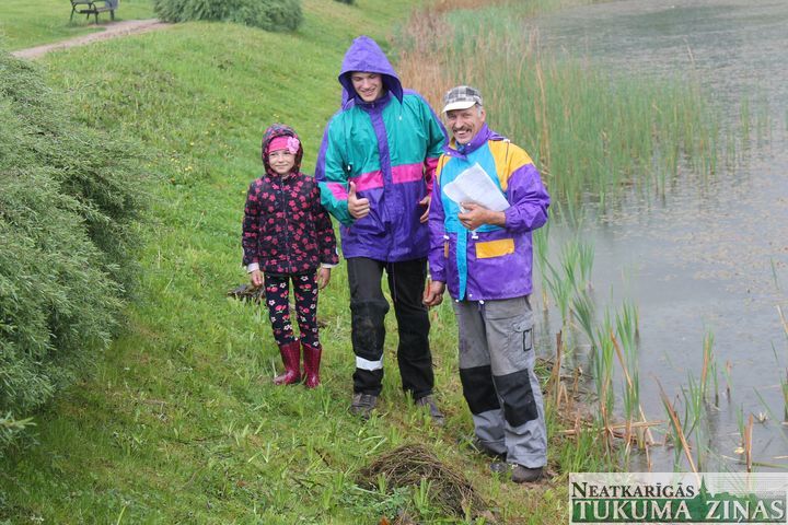 Gallery image 172582