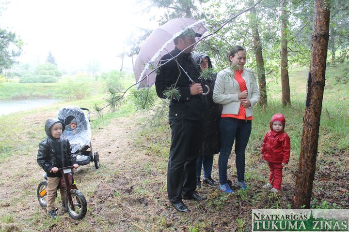 Gallery image 172583