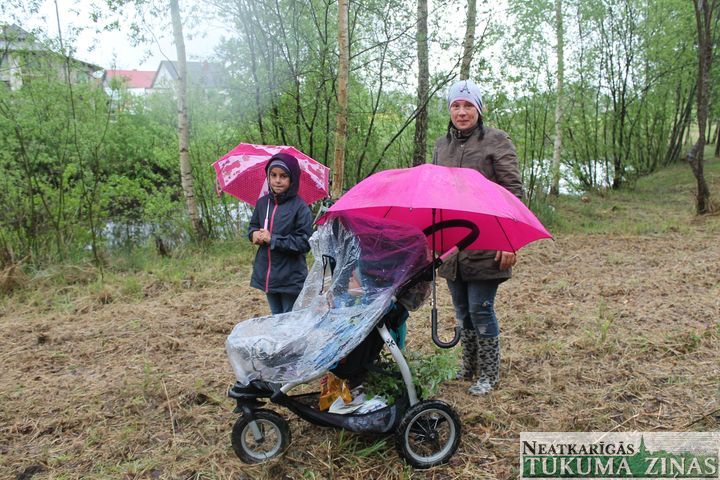 Gallery image 172585