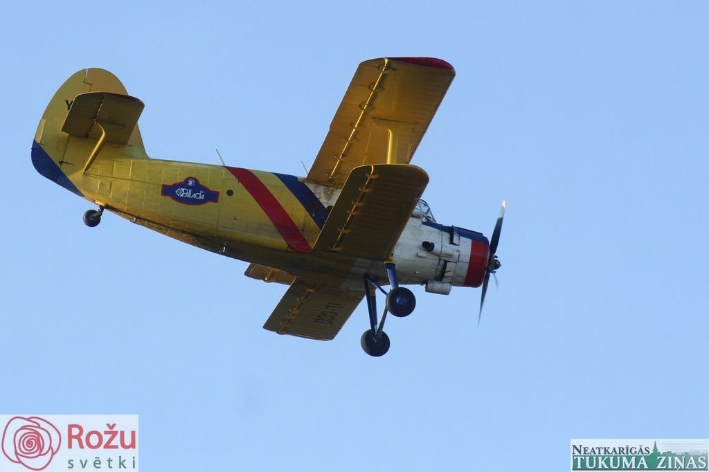 Gallery image 171135