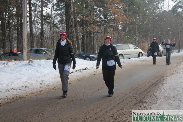 Gallery image 169662