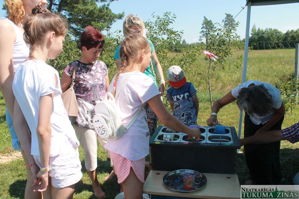 Gallery image 164785