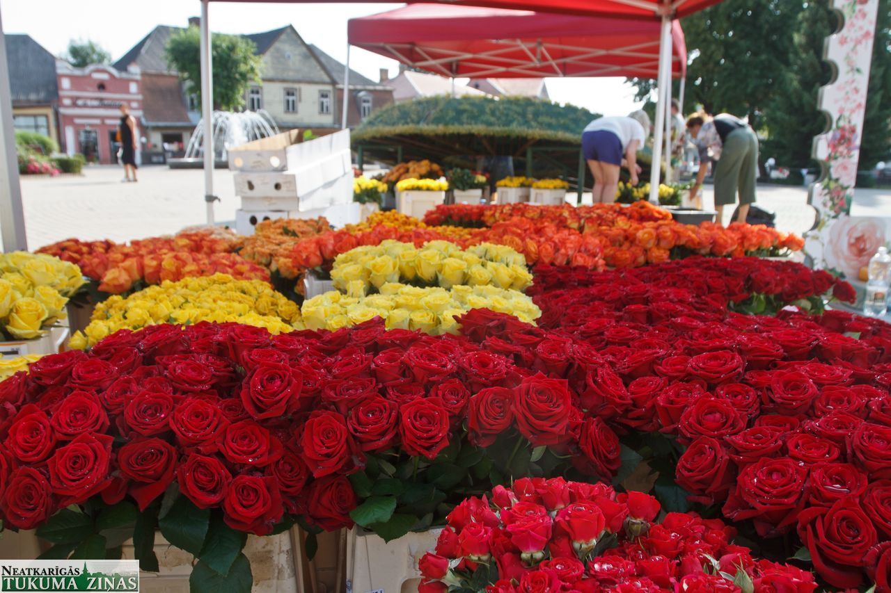 Tukums Rožu svētkiem gatavs/FOTO/