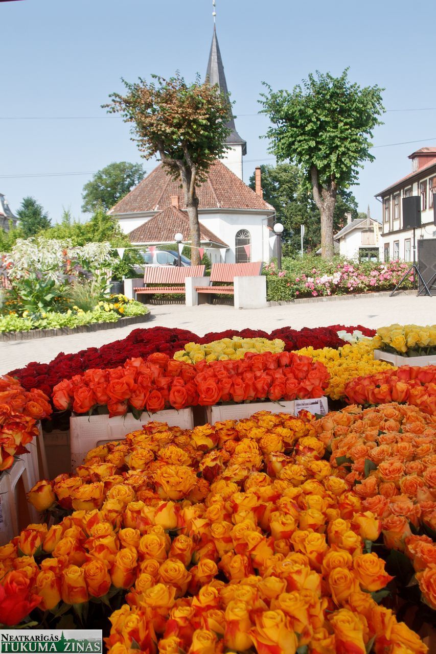 Gallery image 159728