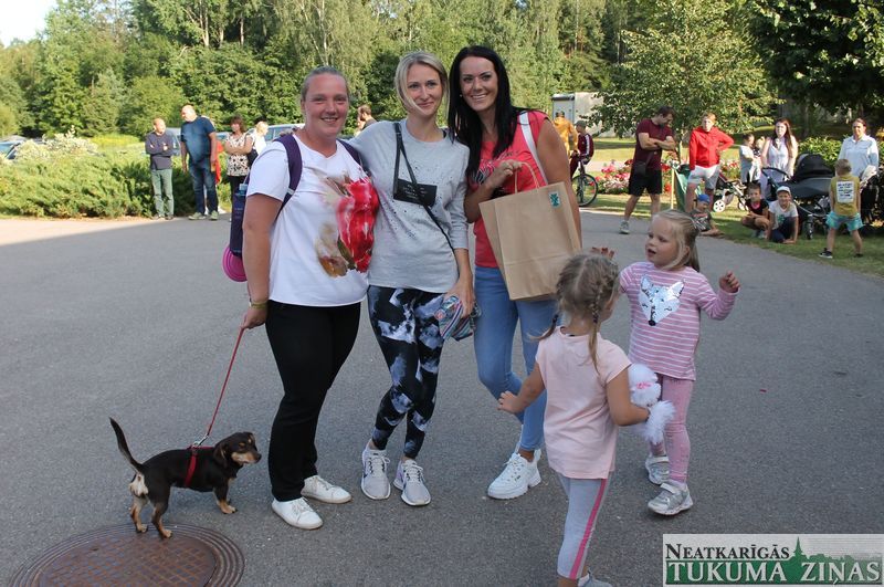 Gallery image 161901