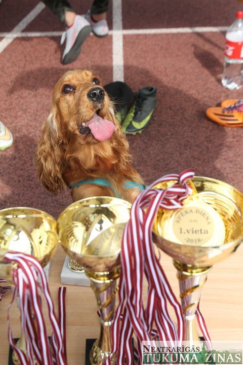 Gallery image 164060