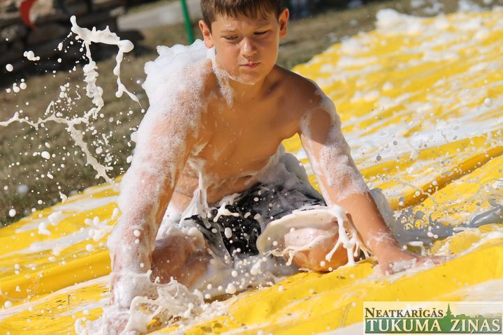 Gallery image 164565