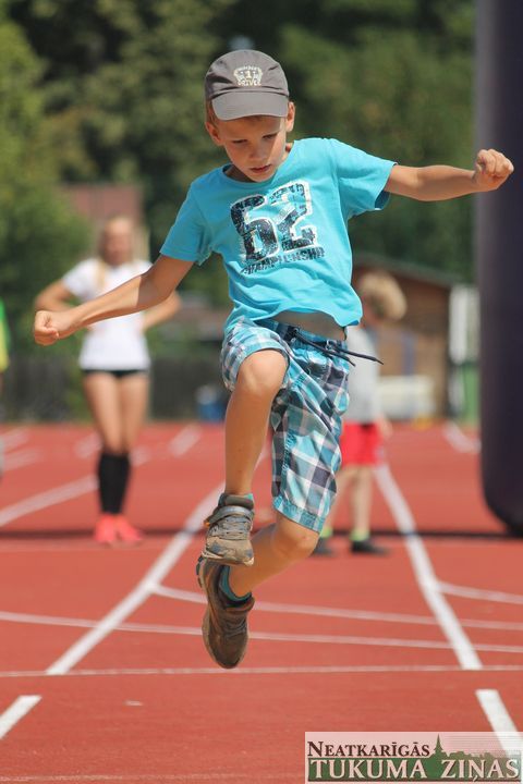 Gallery image 164561